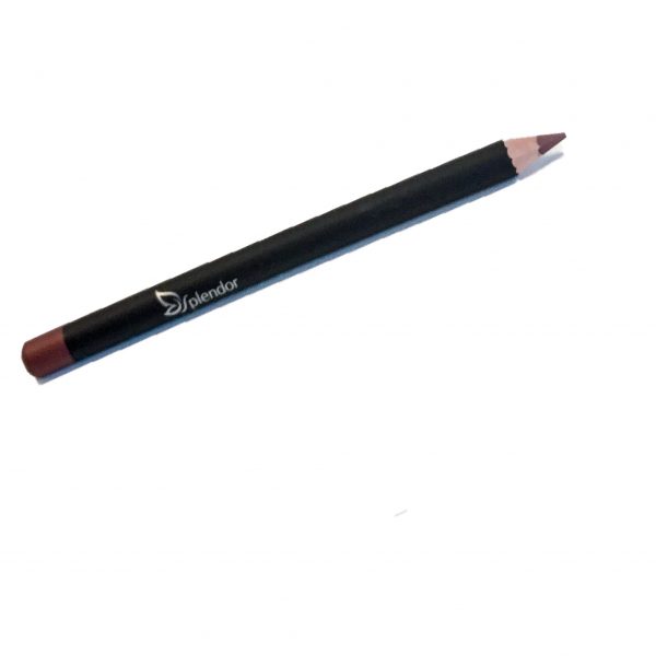 Delice Lip pencil 1.1g/0.03oz